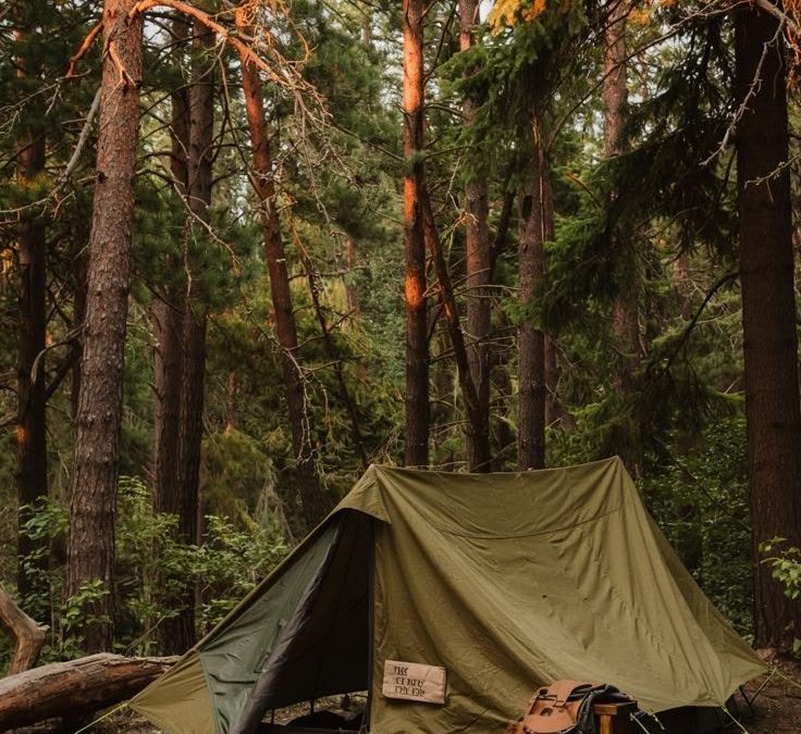 Expert Tips for Picking the Best Campsite for a Safe Adventure